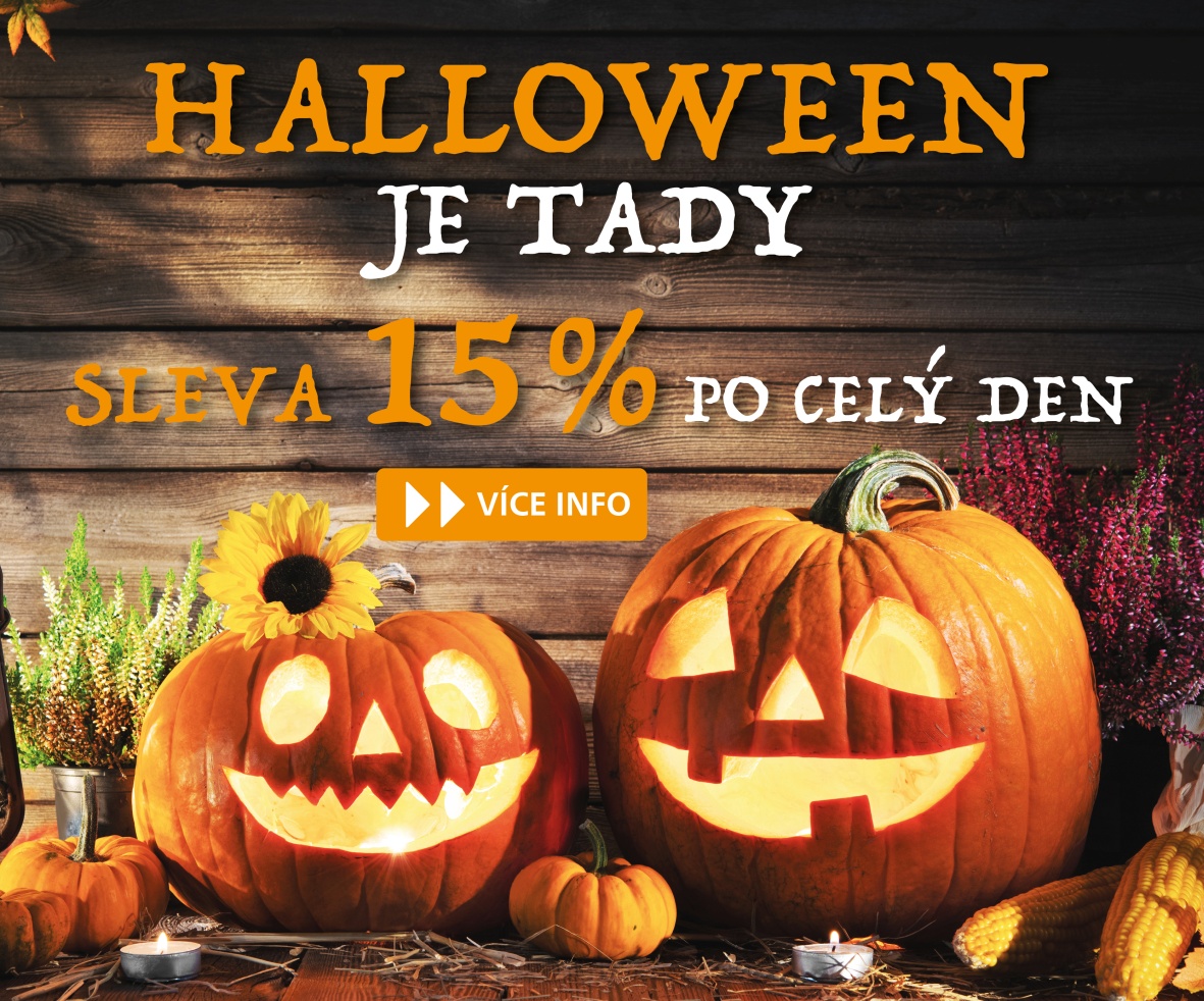 Selllot banner Halloween 1181x982